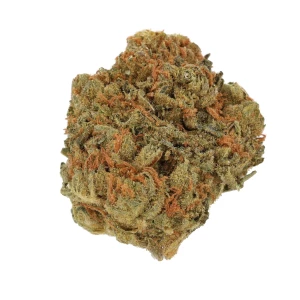 Cannamedical CM 16/1 GRP Grapefruit Gift