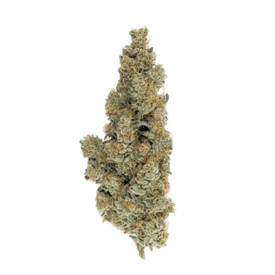 420 Evolution 27/1 CA ICC Ice Cream Cake
