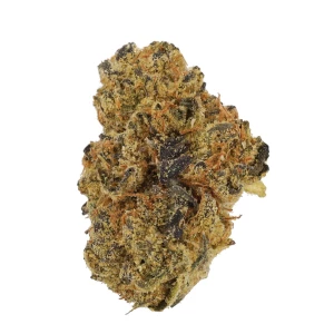 Cannamedical Hybrid classic Purple Dog Bud