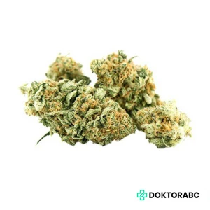 Tilray THC 25 Spotlight Porto White Widow